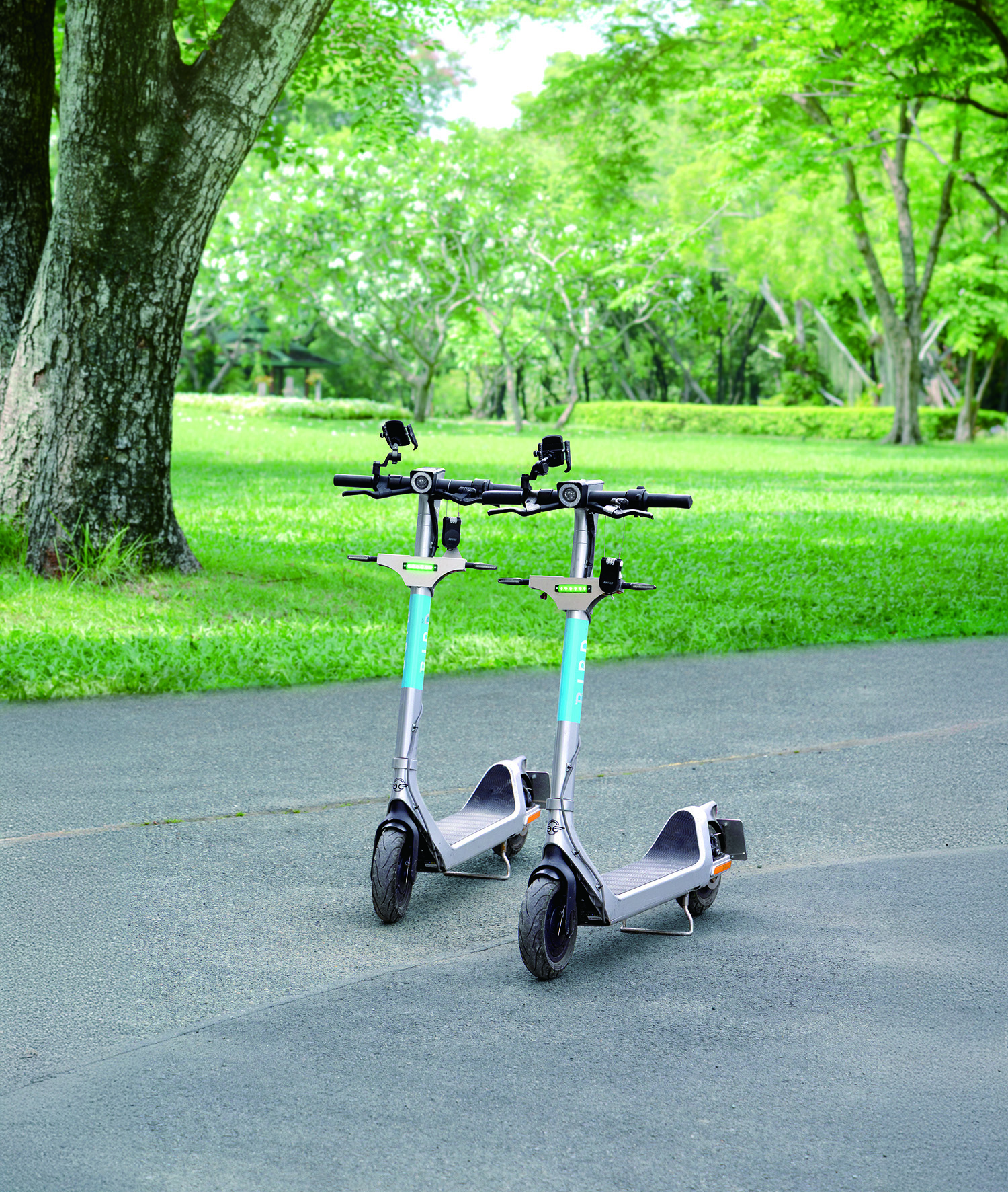 河口湖をスイスイおさんぽ？電動キックボードが快適すぎた🛴💨