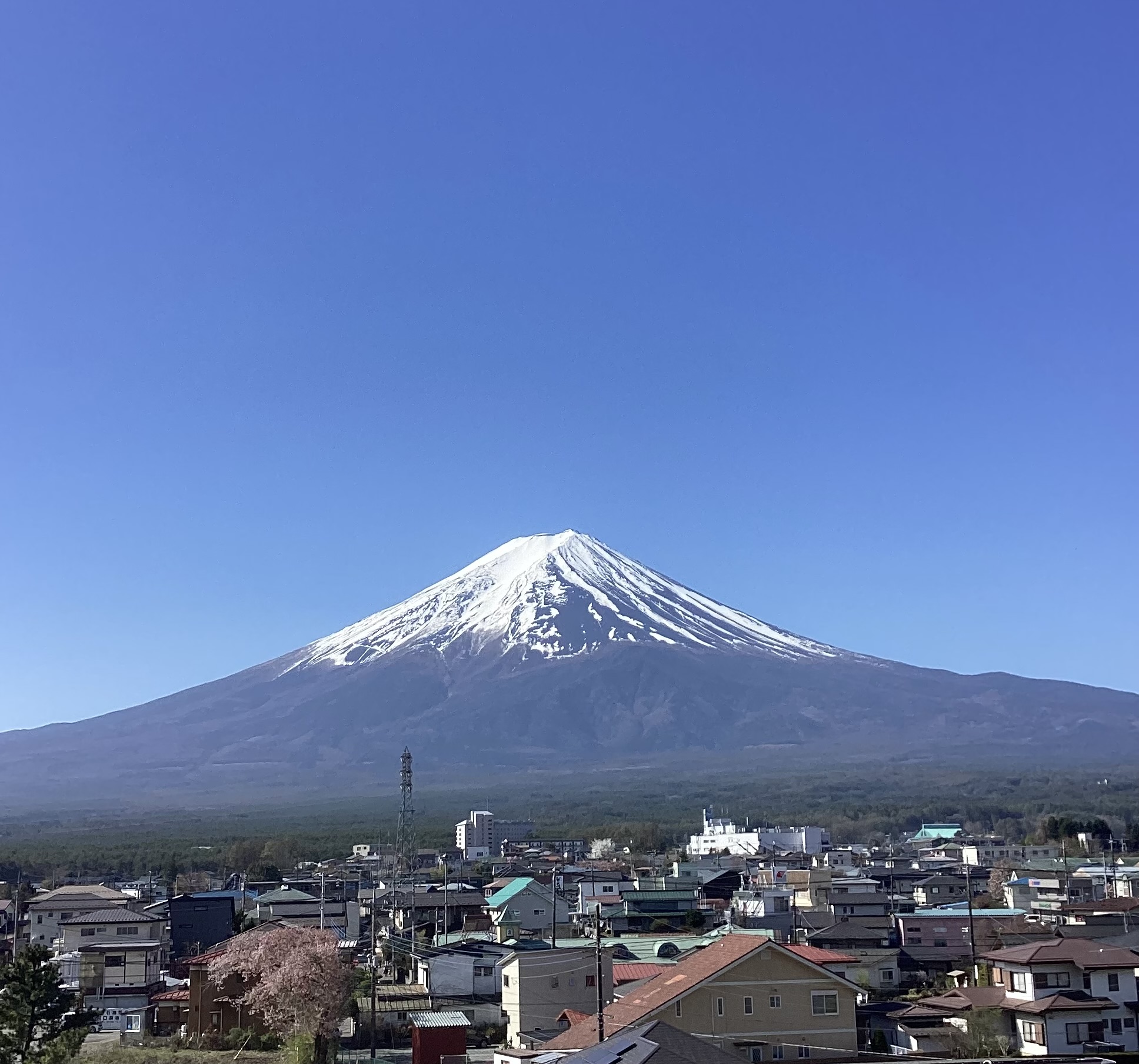 今日の富士山