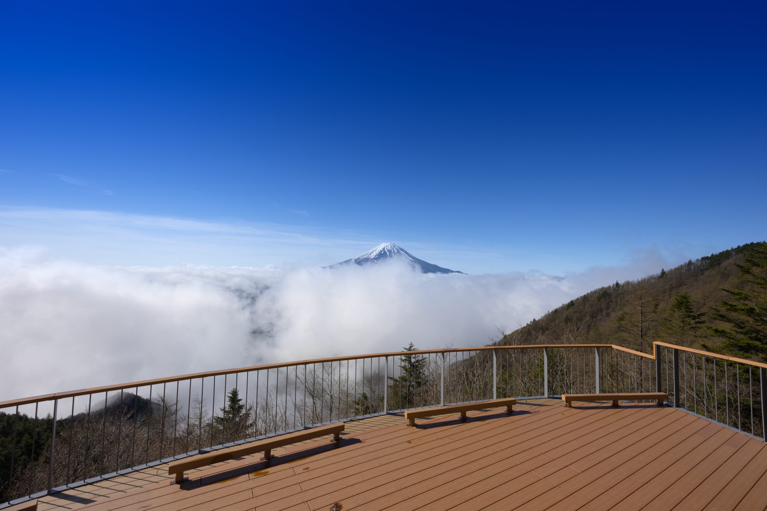 絶景チャージ♡FUJIYAMAツインテラスツアーで富士山をもっと近くに🏔✨
