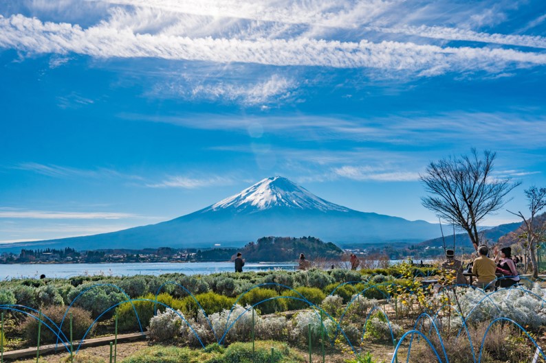 【日帰り／午前発】富士山 三大絶景スポット巡り