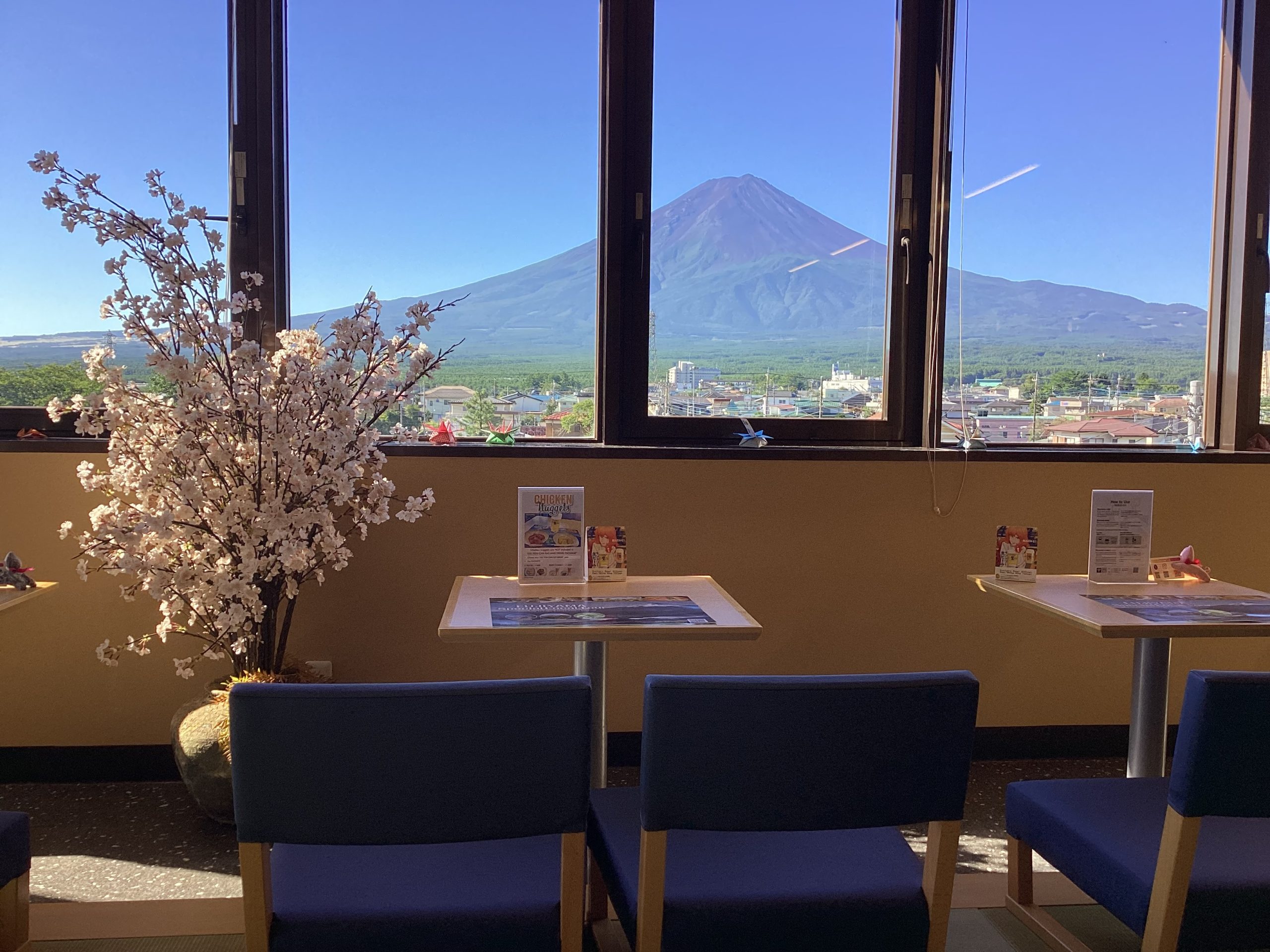 窓からも屋上からも！富士山ビューを満喫🗻