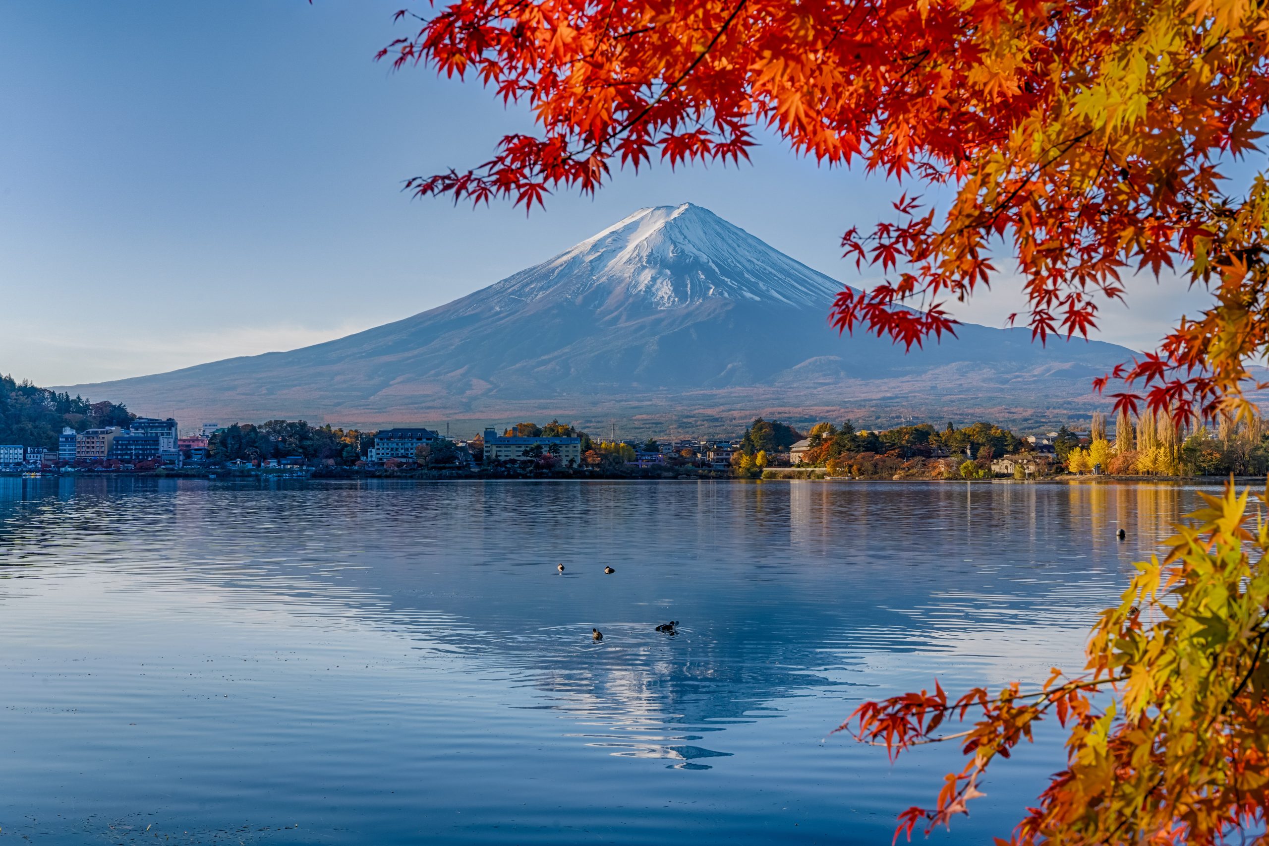 🍁富士山と紅葉を一度に楽しむ！河口湖・五湖台トレッキング