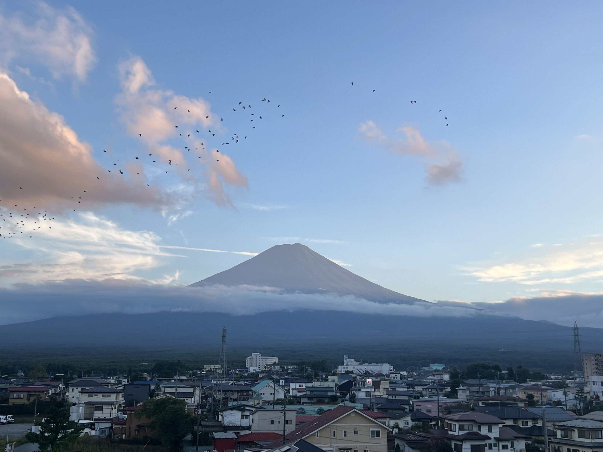 【日本の宝】富士山ってどんな山？