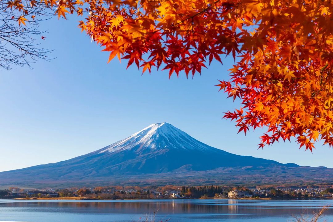【11月限定】紅葉ハイヤー貸切プラン│西湖いやしの里根場/大石公園/もみじ回廊/河口湖/西湖/紅葉/貸切/チャーター