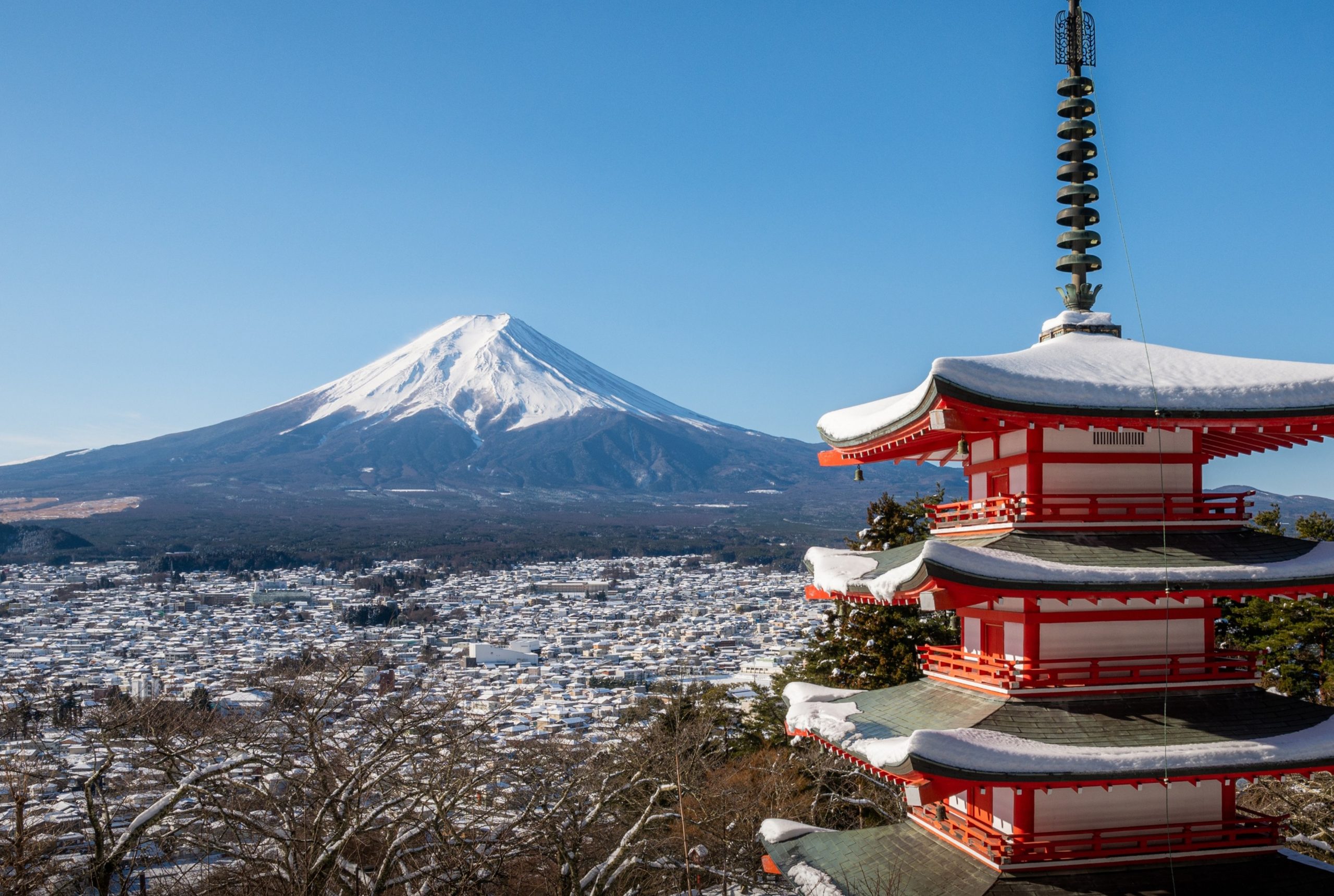【石和温泉発着】初富士と初詣の旅